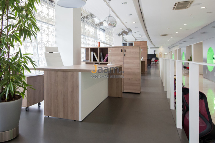 Кабинет руководителя Terra