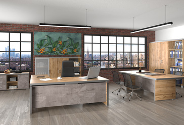 Кабинет руководителя Турин