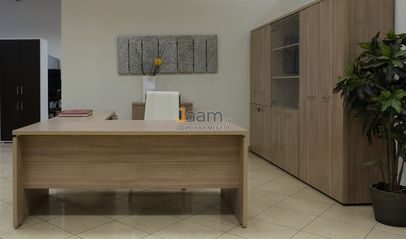 Кабинет руководителя Патриот