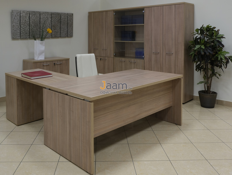 Кабинет руководителя Патриот