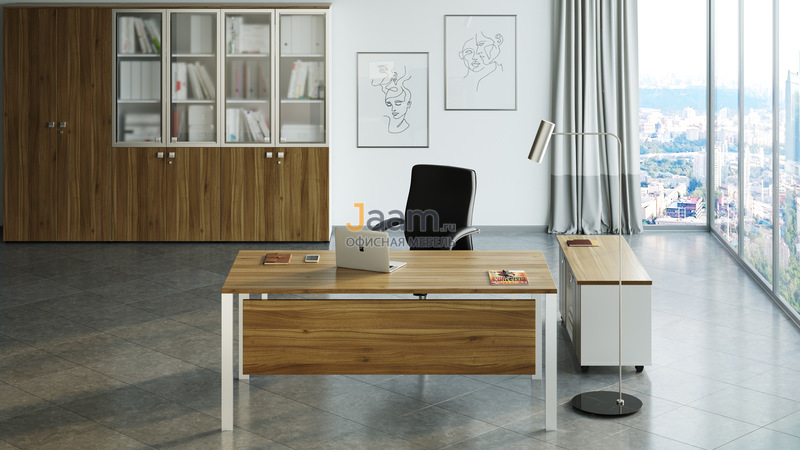 Кабинет руководителя TESS