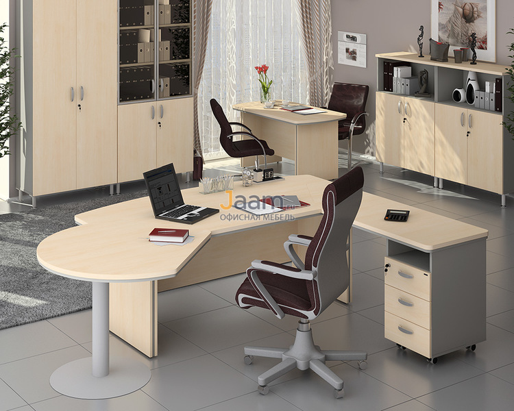 Кабинет руководителя Берлин-Директор