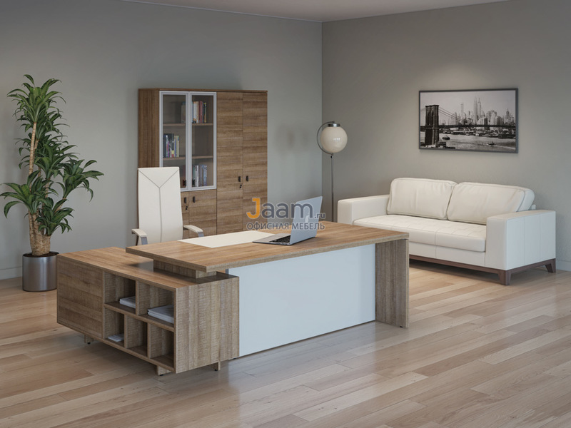 Кабинет руководителя Terra